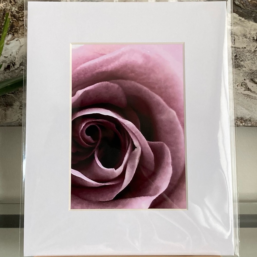 ❌SOLD❌BELLA DONNA” ~ ORIGINAL ART by ~ @lisamichellebeckerphotography - Picture 12 of 14